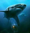 《鲨海47》宣布拍第三部  名为《鲨海47：沉船惊魂》